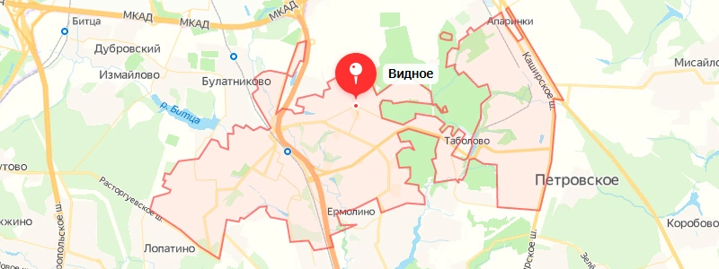 Постоянная регистрация в городе Видное Прописка в Видном